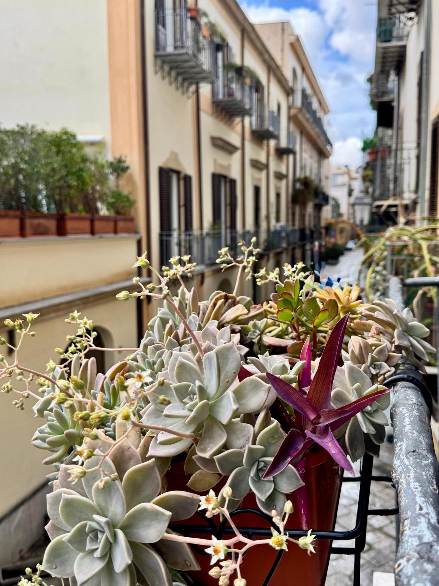 Vetriera Home Palermo Exteriér fotografie
